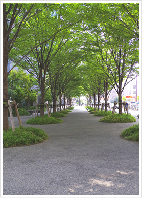 福岡中央美術の環境と施設の御紹介